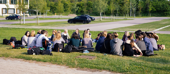 Ein Bild von einer Gruppe Studierender auf einer Wiese.